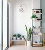Simple Plant Corner